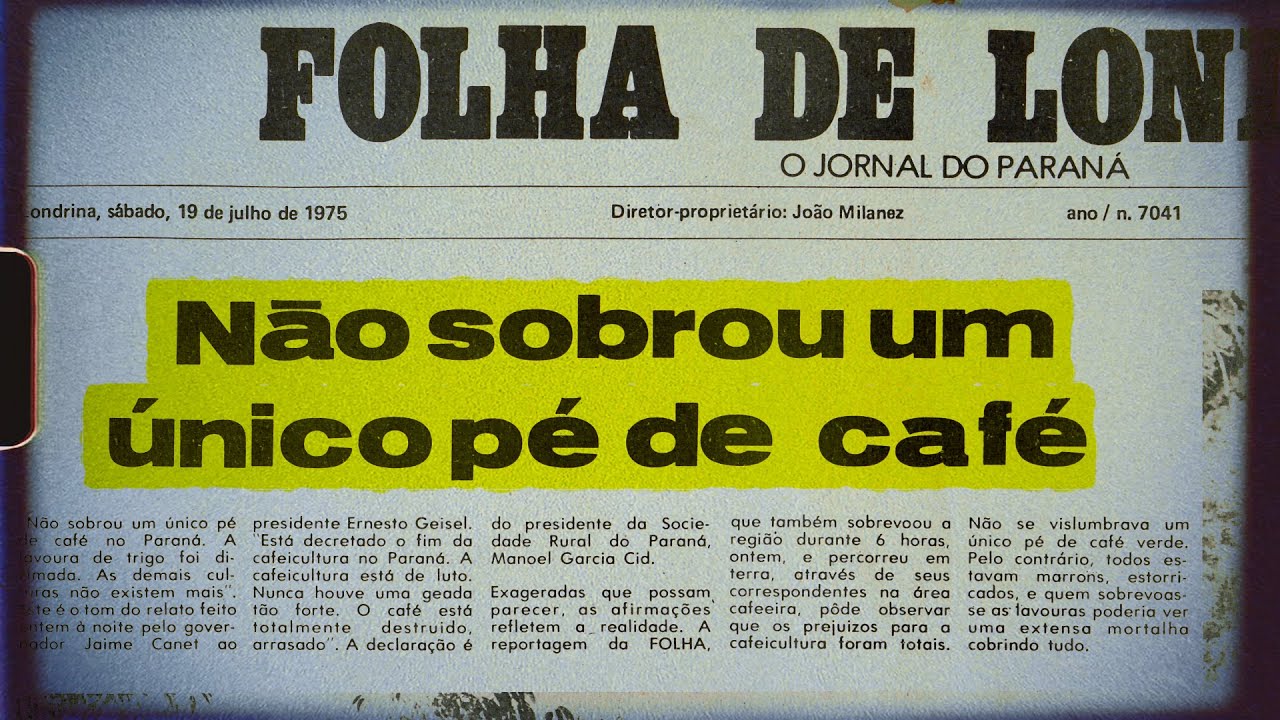 Geada Negra de 1975 no Paraná | Museu do Café Sesc