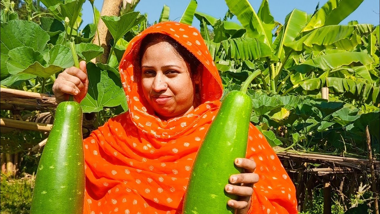 শোল মাছ দিয়ে লাউ রান্নার ফুল রেসিপি। #cooking #recipe #food #villagerlifestyle #villagelife 