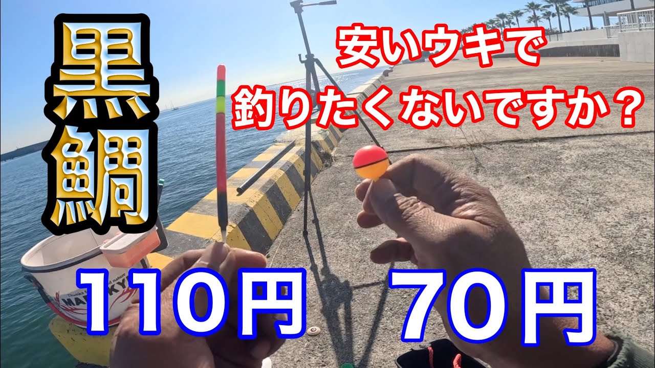 安物のウキでチヌを釣る方法を紹介します【紀州釣り.ダンゴ.黒鯛】