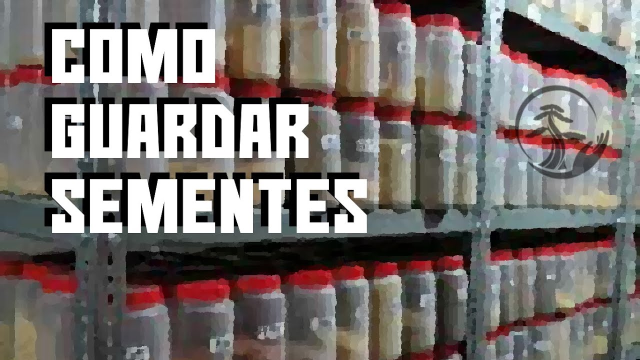 Como guardar sementes por muito tempo