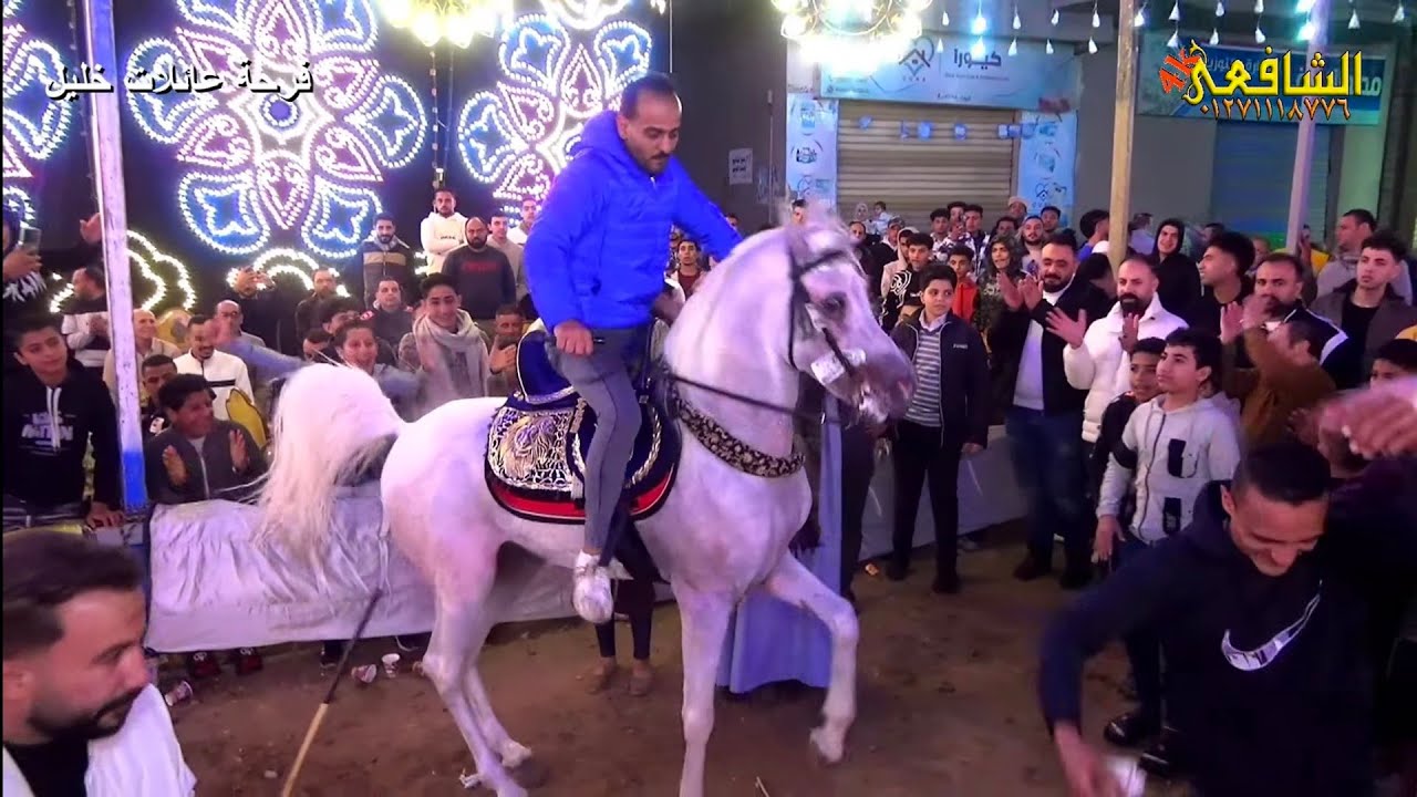 من فرحه عائلات خليل 🐎 شوف احلى خيل ورقصته🎺 العالمي حماده ابو الحاج