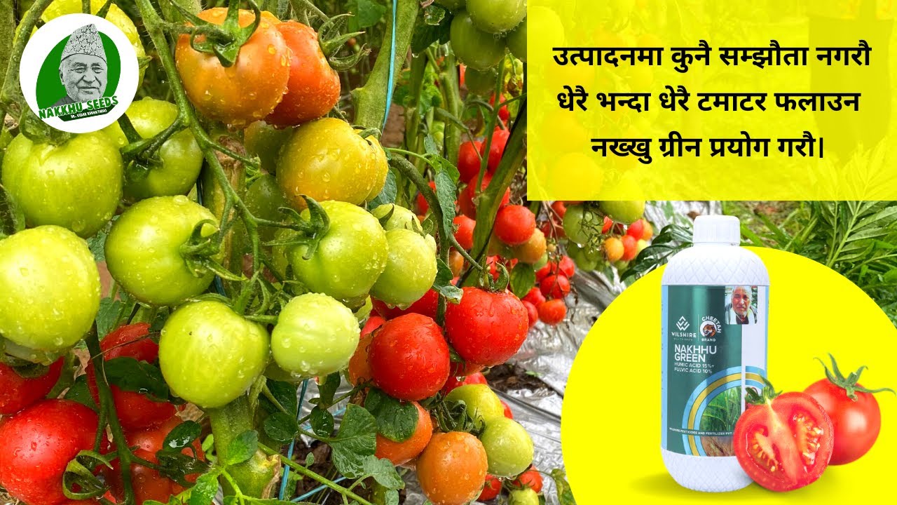 उत्पादनमा कुनै सम्झौता नगरौ-dr kedar budathoki | Call 9851180641, 9851180642