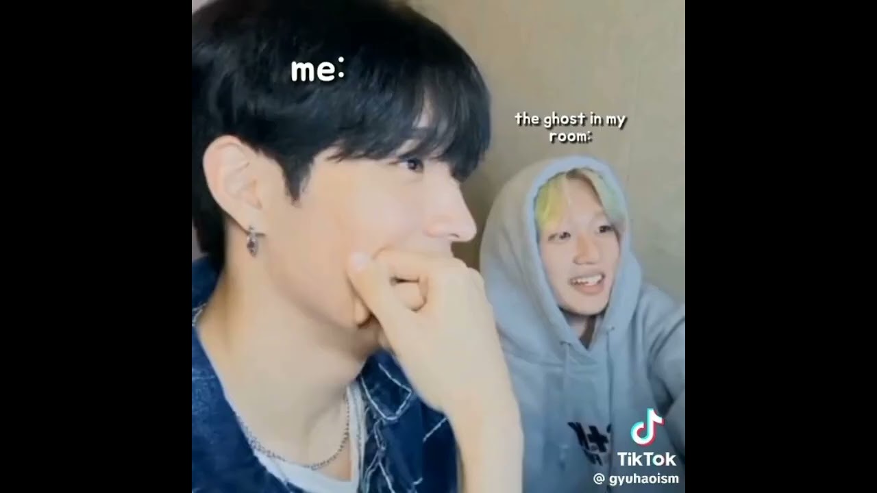 Seventeen Gyuhao TikToks Compilation