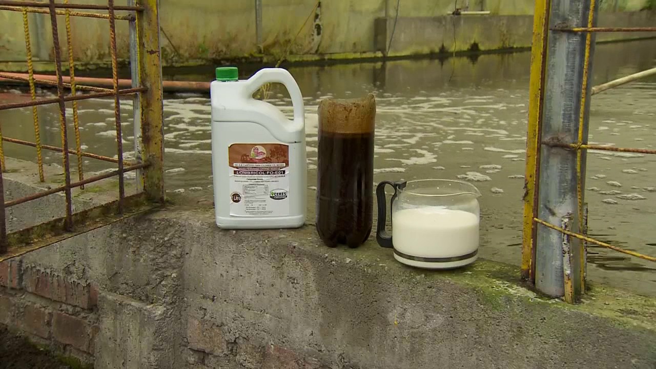 Un piscicultor emplea leche de vaca para oxigenar el agua de los peces | La Finca de Hoy