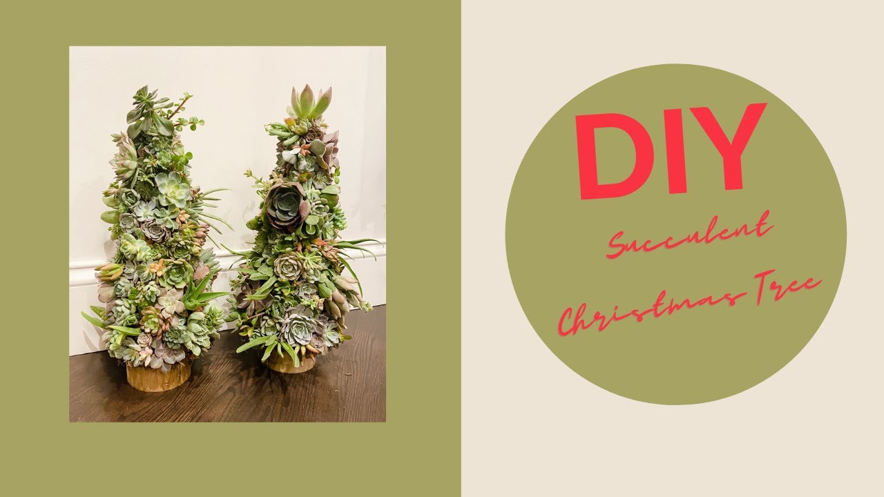 Do it Yourself: Succulent Christmas Tree!