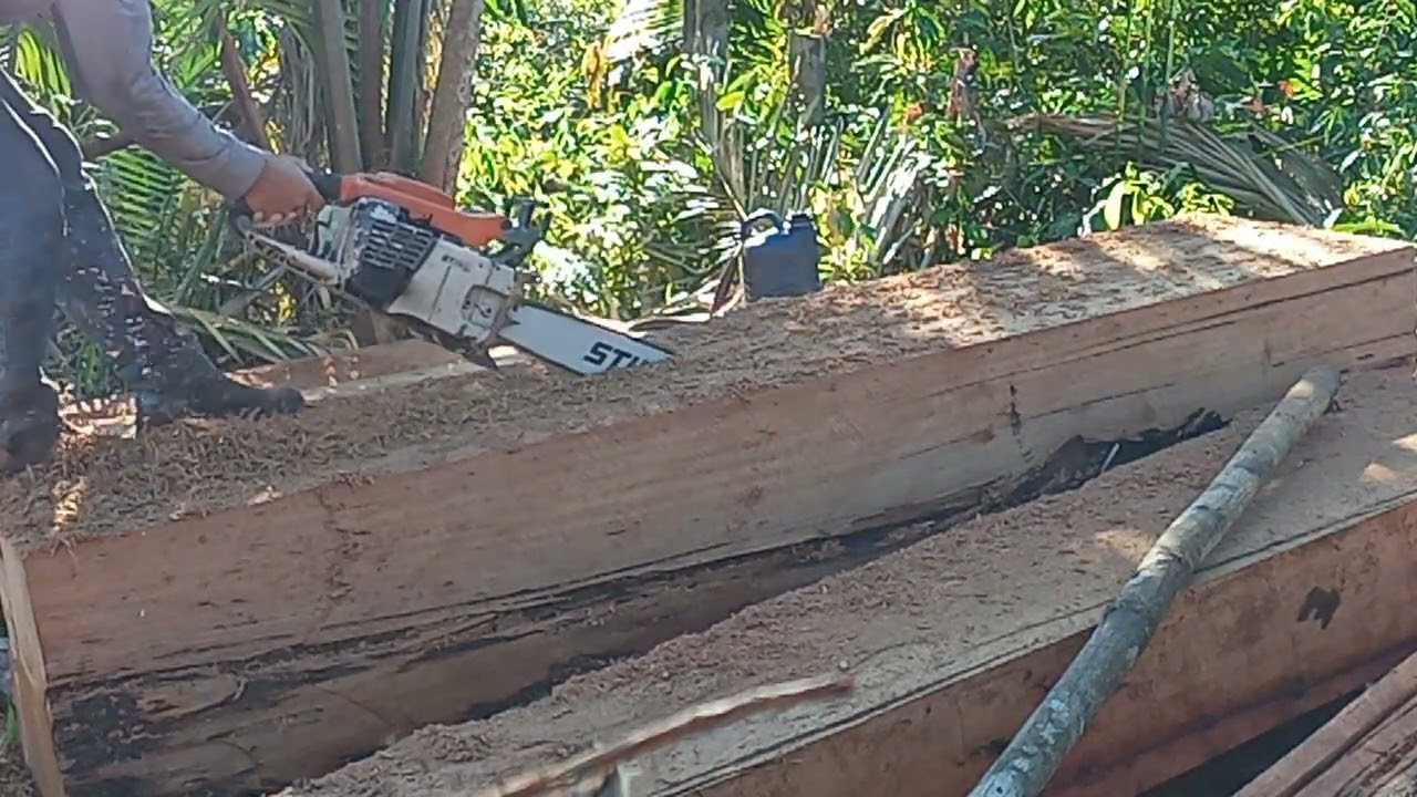 051 stihl. motosserra serrando tábua.