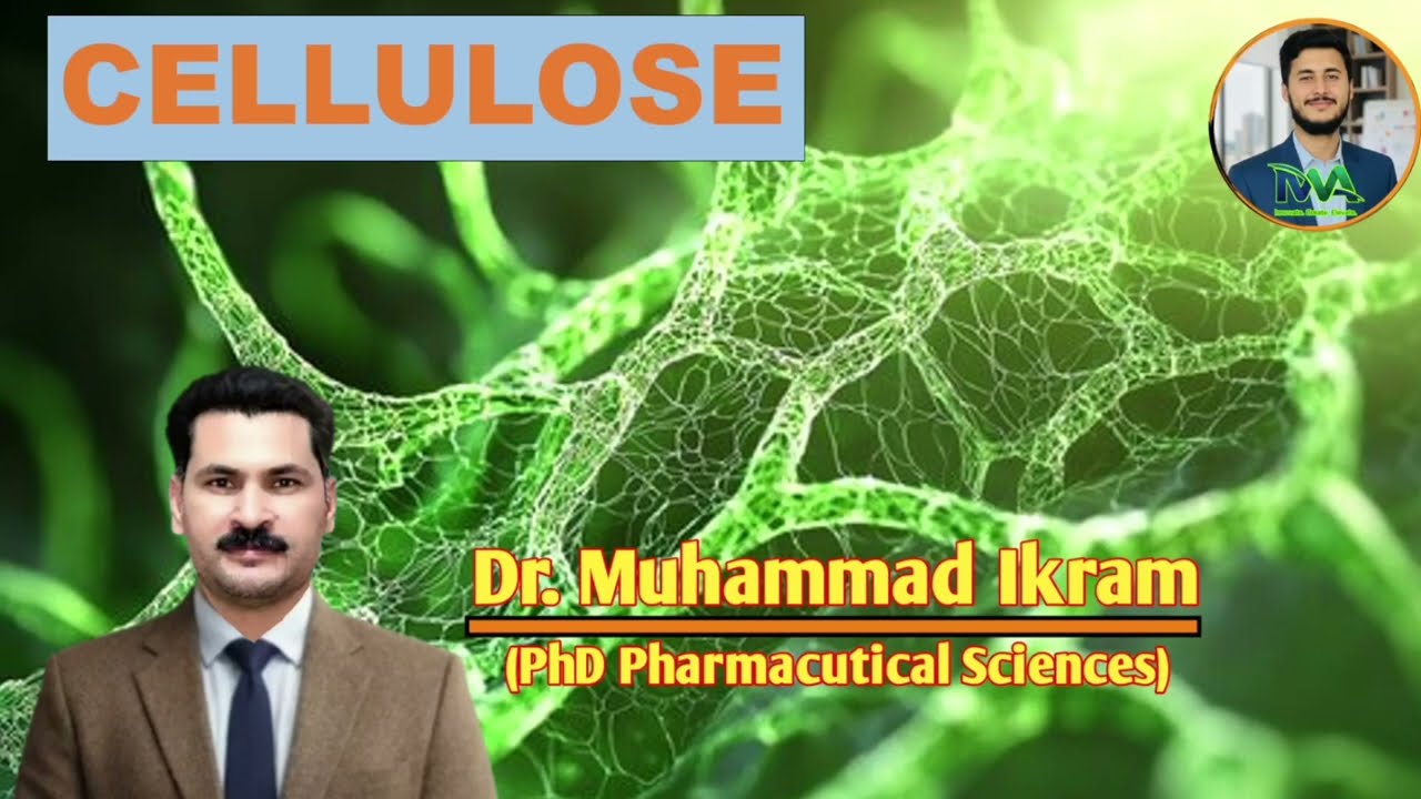Cellulose:  Structure, Glycosidic Bond & Role of Cellulase Explained By Dr. M. Ikram | Dr Waqas RPh