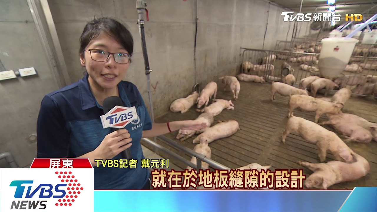 【十點不一樣】台糖帶頭拚外銷 