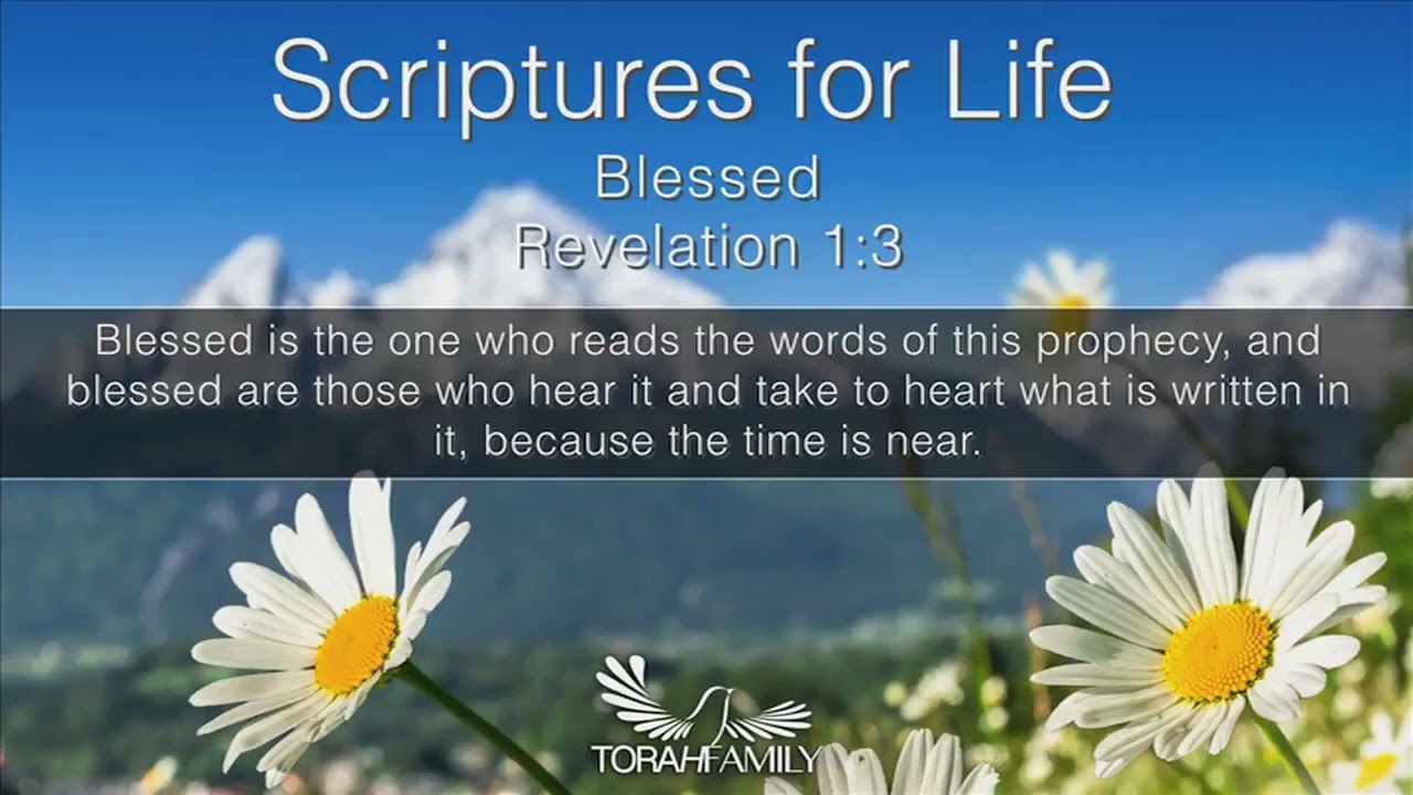 Scriptures for Life  |  Blessed