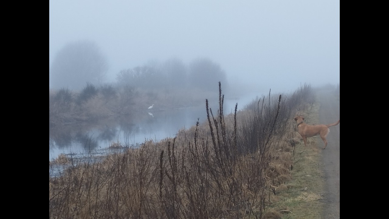 Ая играет и охотится 25 02 26