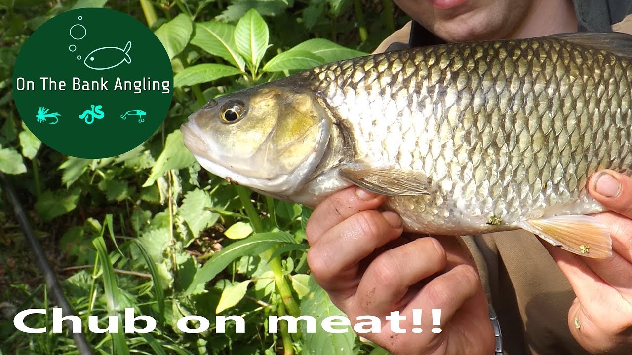 Fishing With Meat On Rivers