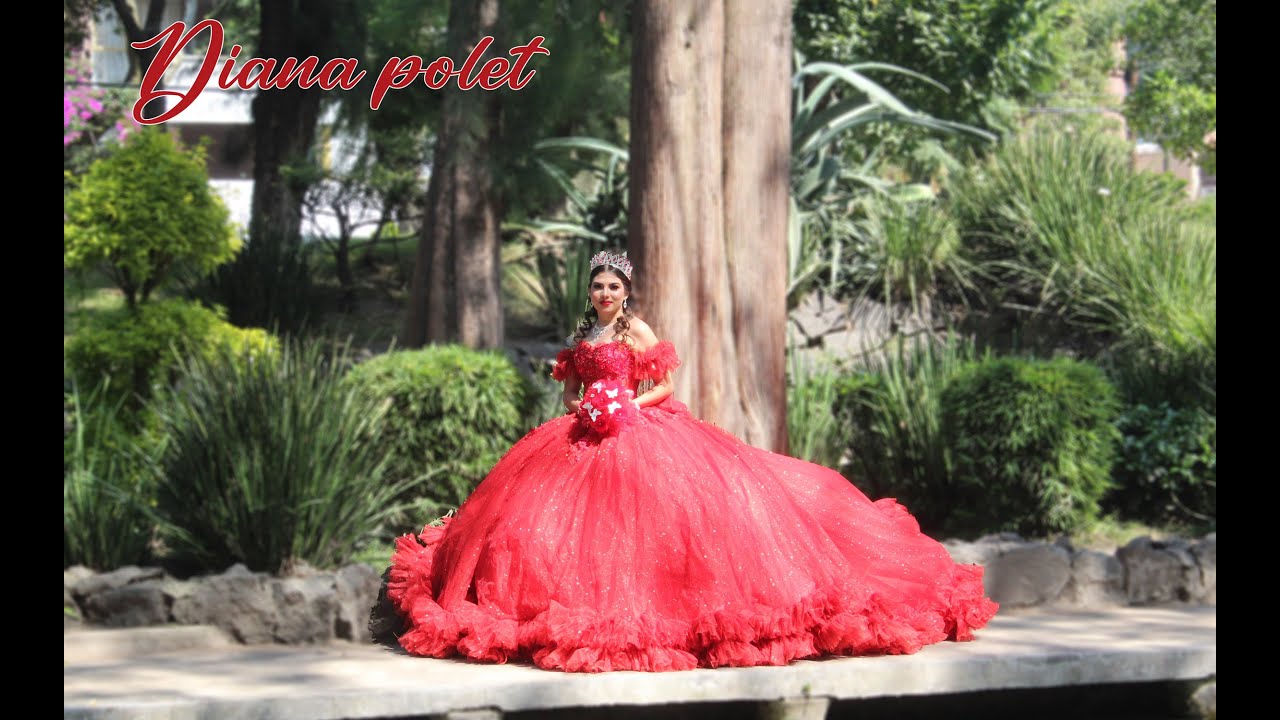 PELICULA DIANA POLET