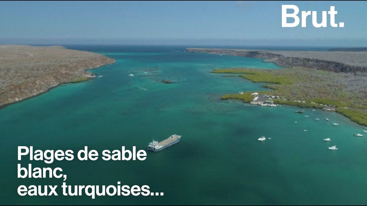 Les &Icirc;les Gal&aacute;pagos, un paradis menac&eacute; par le tourisme de masse
