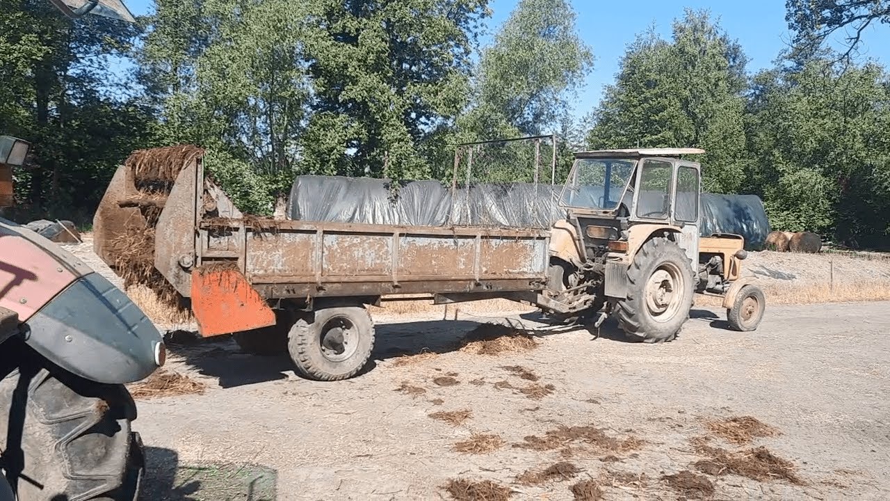 #175 Wywożę Obornik od Byków Oraz Uprawa Fendtem || Takiej Suszy O Tej Porze Dawno Nie Było....