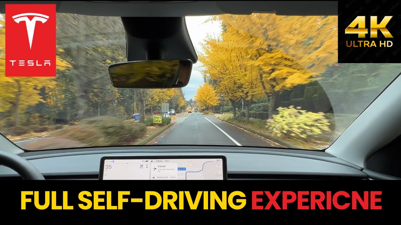 Tesla Full Self-Driving on a Beautiful Autumn Day (4K)  | Teslavian