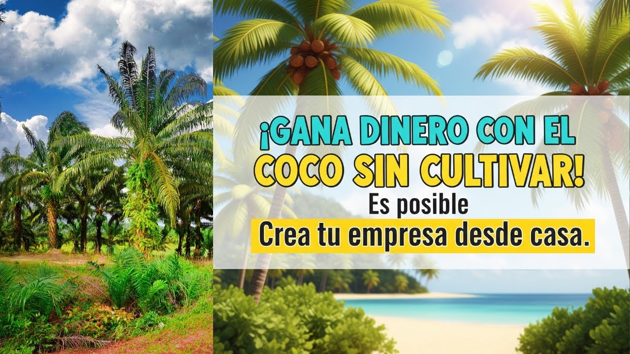¡GANA DINERO CON EL COCO SIN CULTIVAR! ES POSIBLE  CREA TU EMPRESA DESDE CASA!.