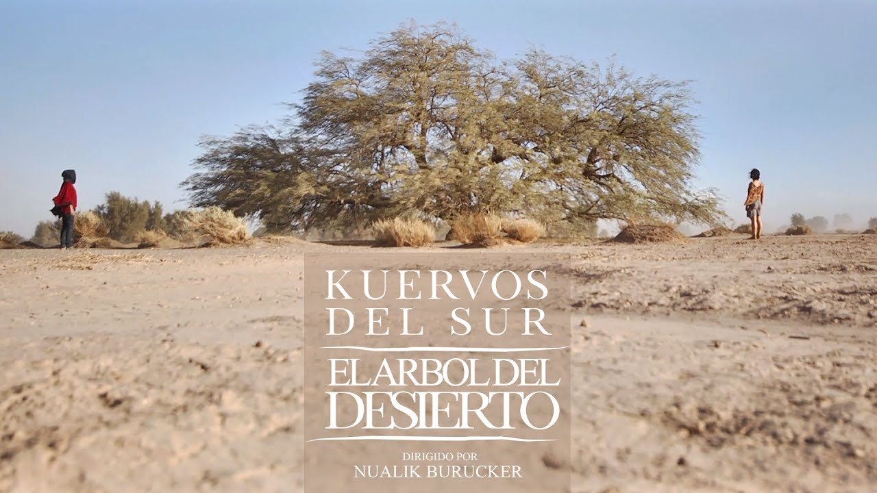 Kuervos del Sur - El árbol del desierto