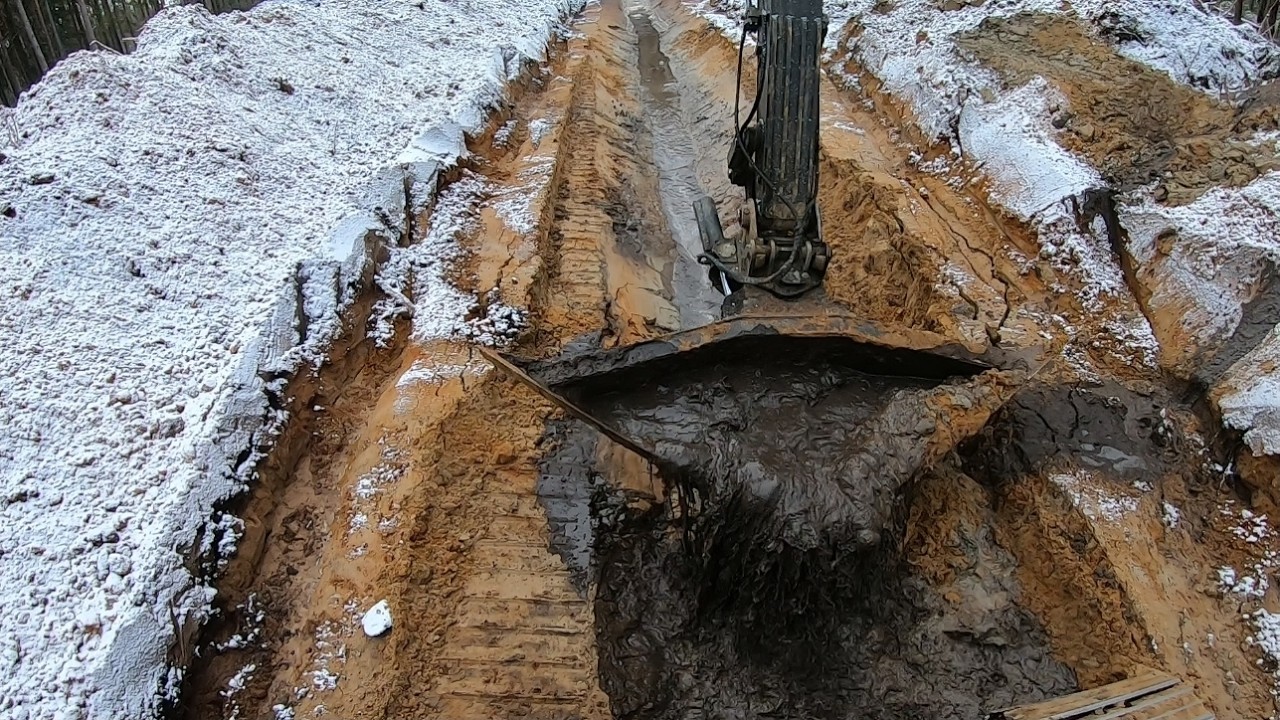 Footage From Forest Work