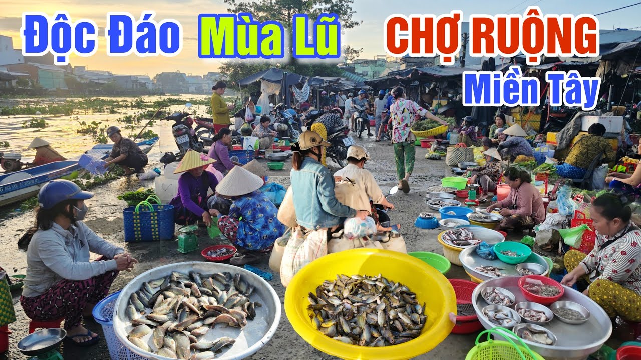 ĐỘC ĐÁO VÙNG LŨ MIỀN SÔNG NƯỚC - CHỢ RUỘNG TRÚNG MÙA CÁ ĐỒNG, TOÀN ĐẶC SẢN MIỀN TÂY Ở CHỢ LONG MỸ