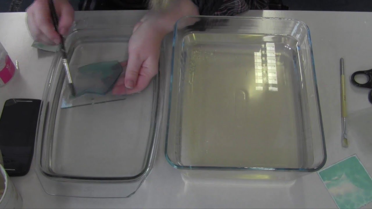 Polaroid Emulsion Lift on Glass