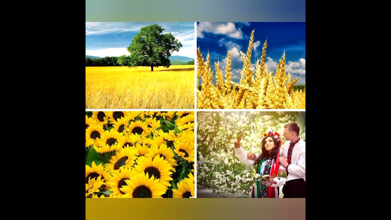 Українська мова, мова барвінкова. Муз. Василя#Клименка, сл. #Наталії Янчук