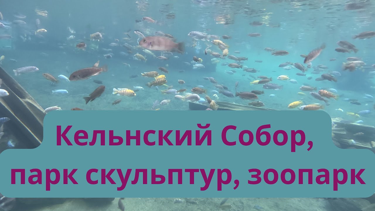 Кельнский собор, парк скульптур, зоопарк.