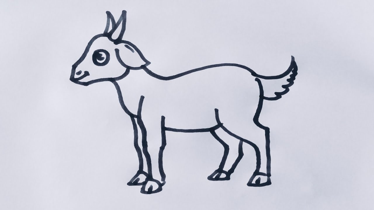 Goat drawing/How to draw a goat/Animal drawing/Goat drawing easy step by step @SimpleLineDrawing 