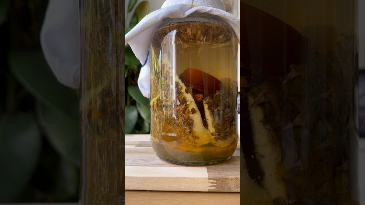 Tepache De Pi&ntilde;a #receta #tepache #fermentacion #fermentados