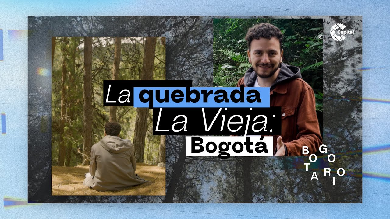 La quebrada La Vieja: el oasis escondido de Bogotá | Bogotario