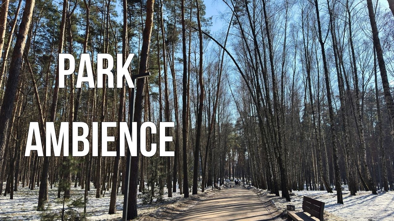 Spring Park Walk in 4K | Real Sounds | No Talking