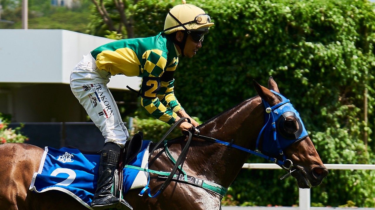 GREAT WILL - 01/03/2026 - Race 2 - Country-Bred Class 5