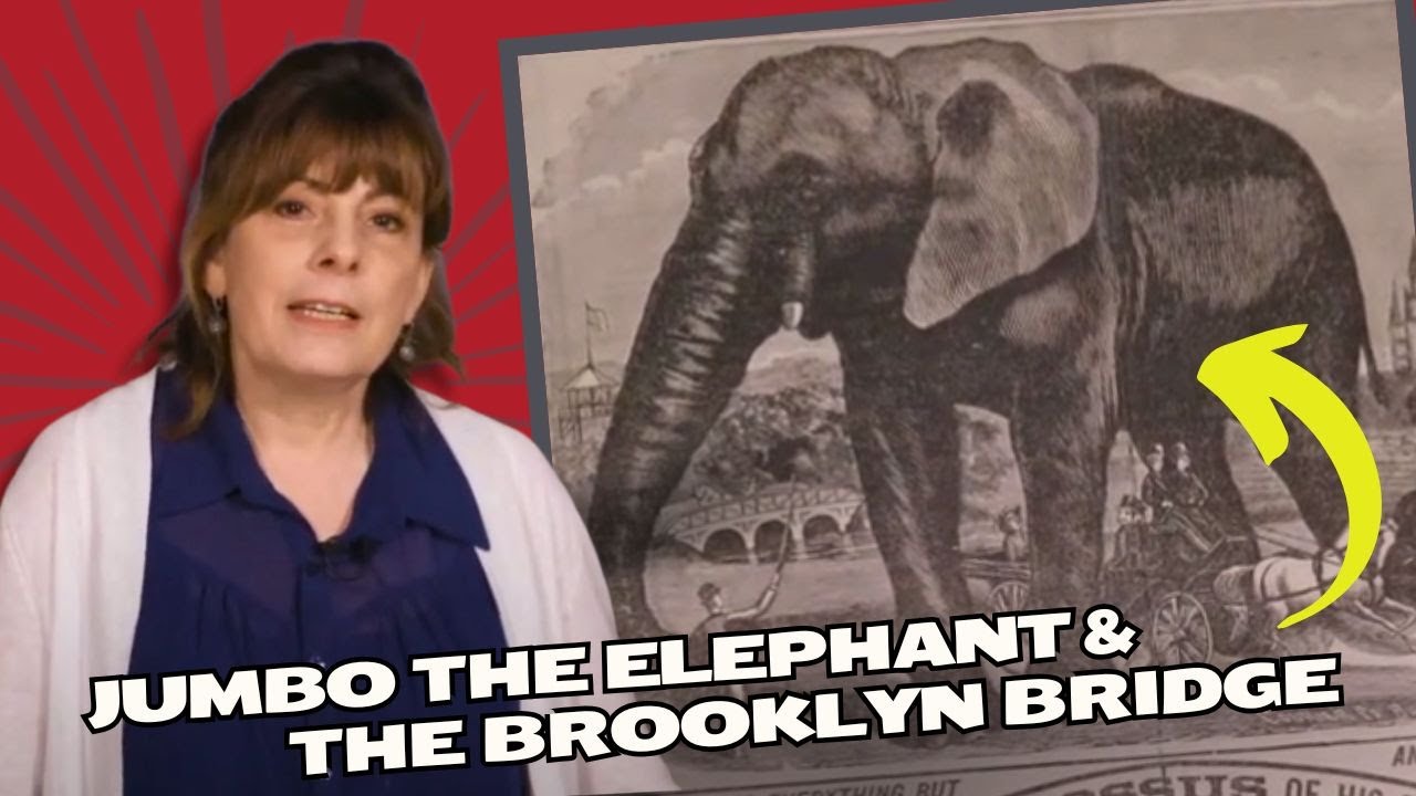 Jumbo The Elephant & The Brooklyn Bridge