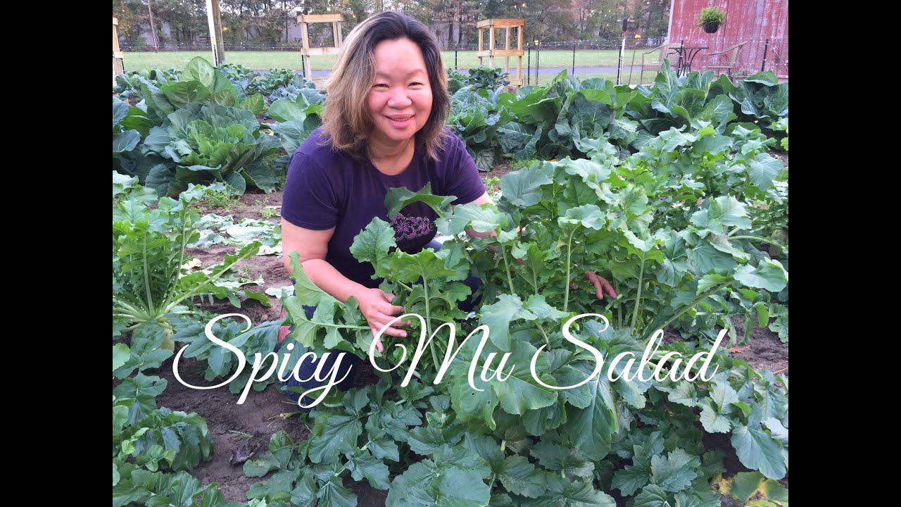 How to Make Spicy Mu Korean Salad