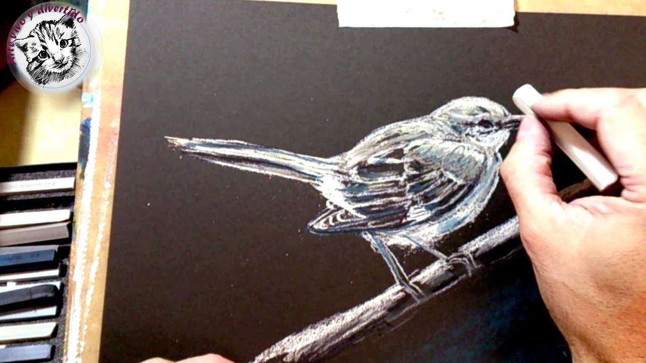 Cómo Dibujar un Pajaro con Pasteles Duros Paso a Paso