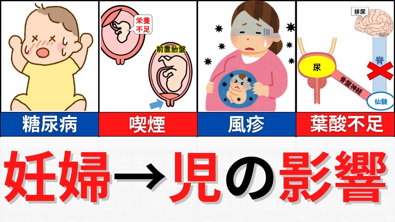 【12分で解説、23分で国試問題】妊婦の状態と胎児の影響について解説