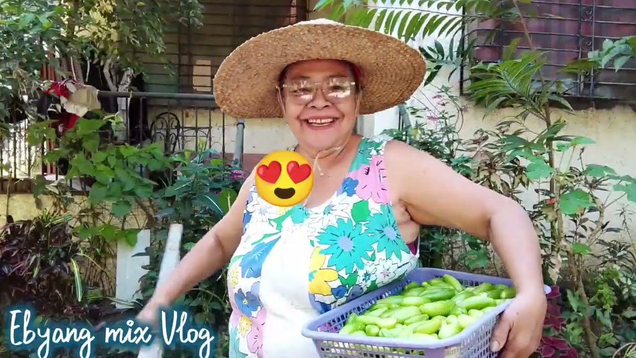 Sun-Dry  Bilimbi Fruits (Kamias) Part1 #buhayprobinsya 