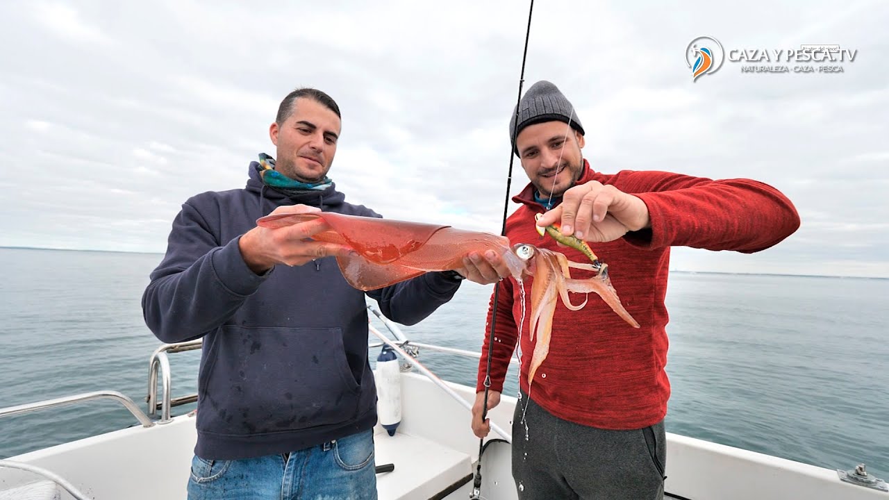 【𝐏𝐞𝐬𝐜𝐚𝐧𝐝𝐨 𝐜𝐞𝐟𝐚𝐥𝐨́𝐩𝐨𝐝𝐨𝐬 𝐚𝐥 𝐓𝐢𝐩 𝐑𝐮𝐧】, Calamares y Chocos de gran tamaño al Tip Run, Documental