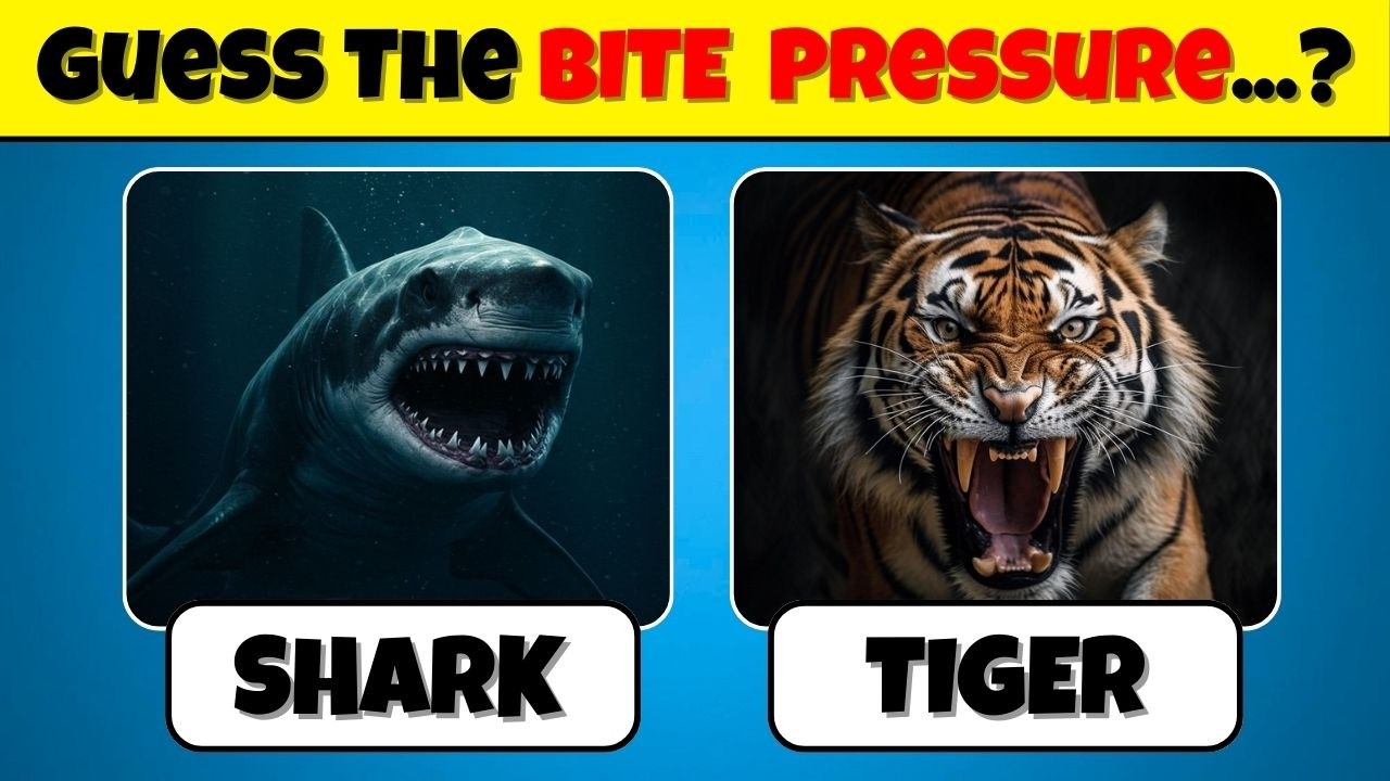 Can You Guess the Animal’s Bite Pressure in 10 Seconds? | Ultimate Bite Power Quiz | Quiz Bunnies
