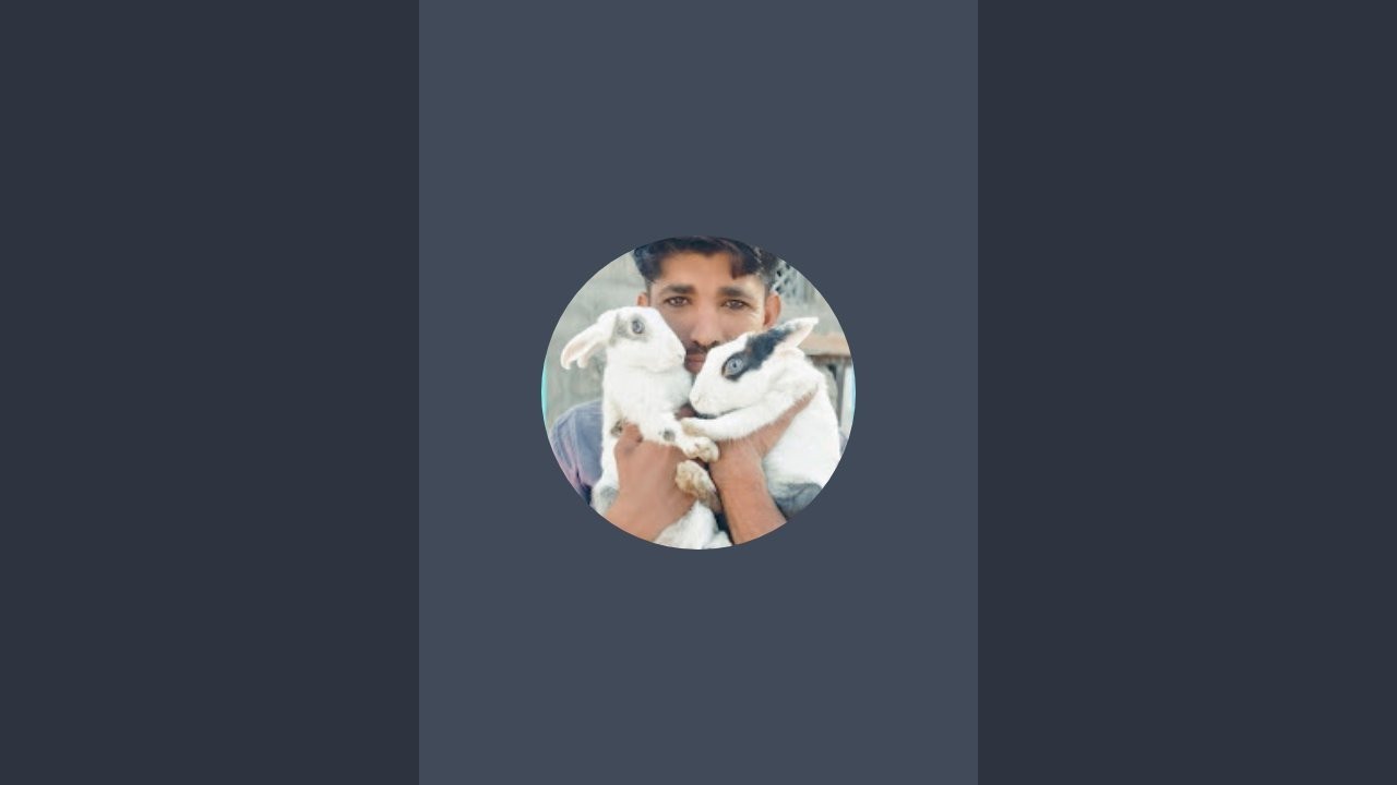meri jaan लाइव है!