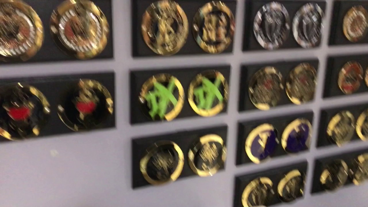 WWE World Championship Title Belts & Side Plate Collection: Universal, Network, Womens Raw SmackDown