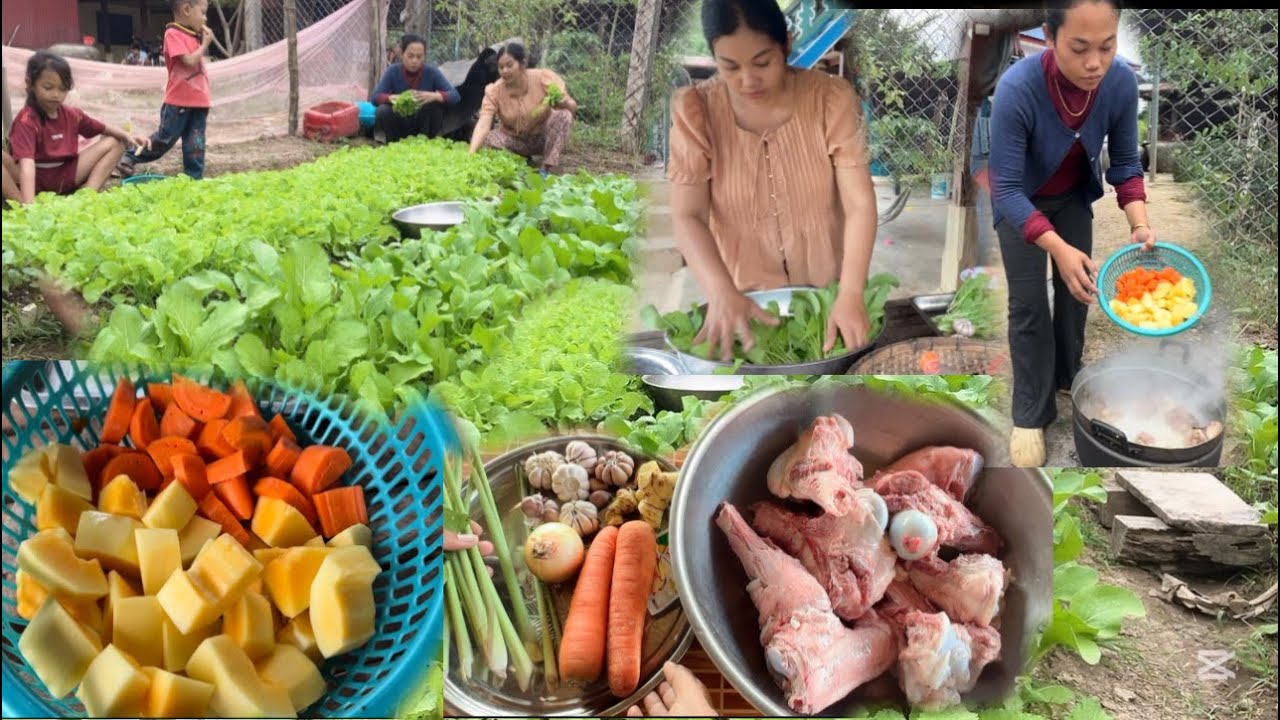 ដកស្ពៃ ធ្វើស៊ុបឆ្អឹងគោ ញាំជុំប្អូននឹងក្មួយពេលល្ងាចឆ្ងាញ់ណាស់