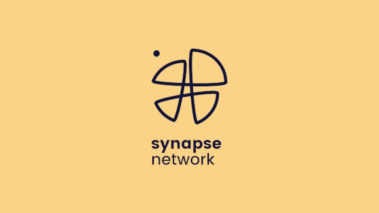 КАК УЧАСТВОВАТЬ В IDO? ПОДРОБНЫЙ ГАЙД ПО SYNAPSE NETWORK.