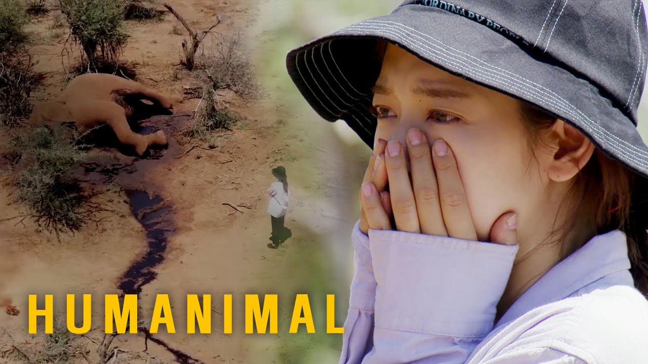 Park Shin Hye Felt so much Resentment for that Animal [Humanimal Ep 1]