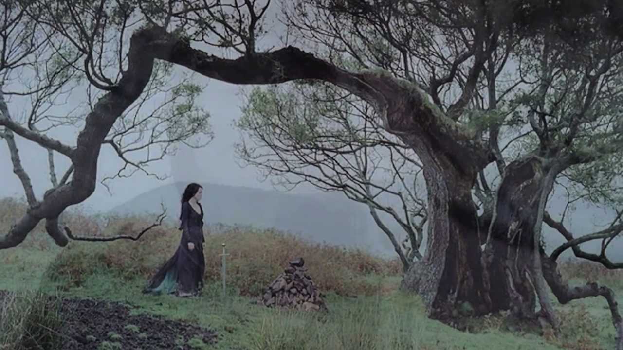 Lost Birds | Merlin
