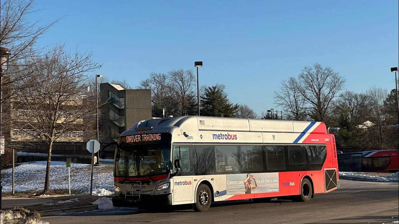 WMATA and Prince George's County Transit TheBus Compilation at Hyattsville Crossing January 2025 #2