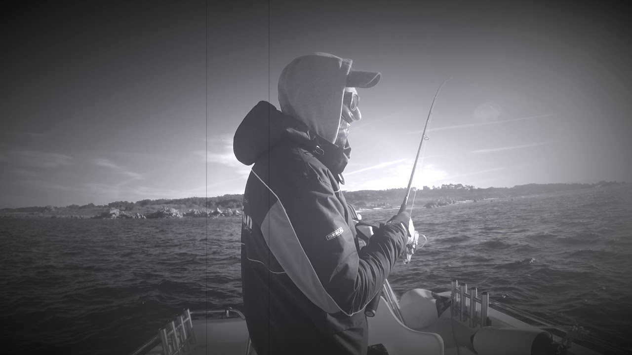 EEL ATTACK