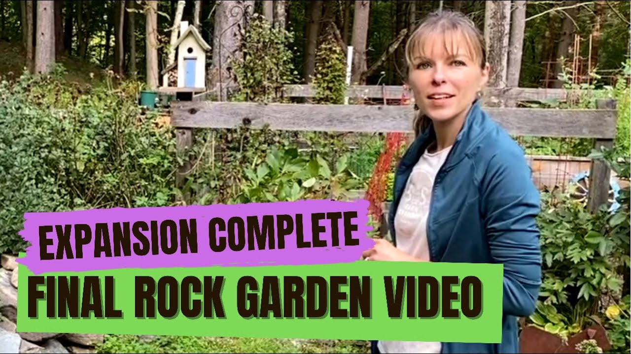Rock Garden Expansion Complete //Part Three // Praying Mantis // Plant Placement