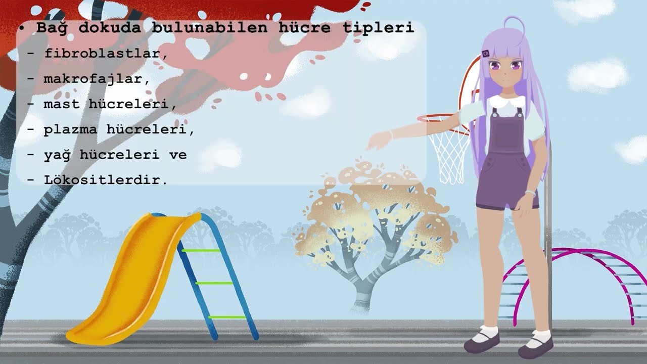 Temel Bağ Doku - Derinin Tabakaları ve Görevleri