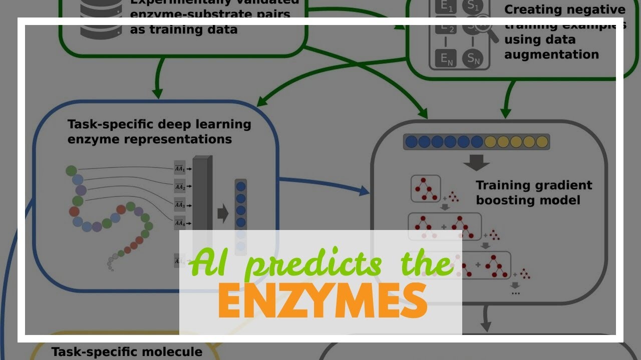 AI predicts the work rate of enzymes