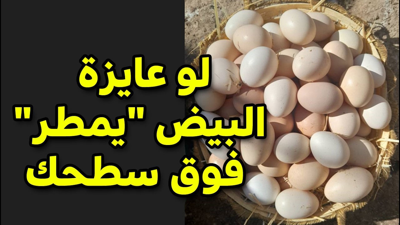 لو عايزة البيض 